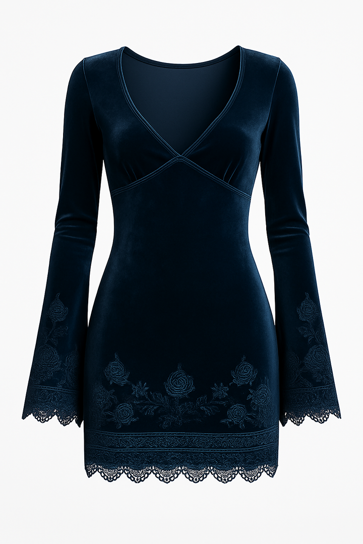 Velvet embroidered dress full length view