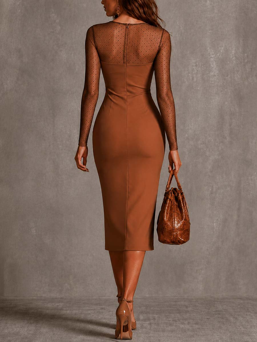 Polka dot mesh long sleeve midi dress side view