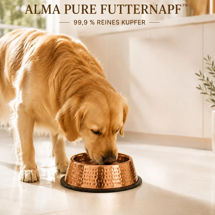 Ashwell Bowl made from 99.9% Pure Copper for Dogs and Cats