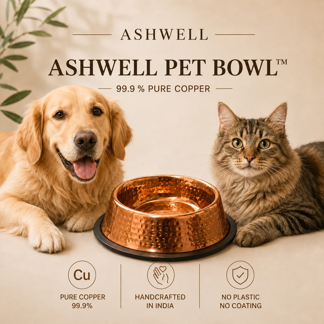 Ashwell 99.9% pure copper bowl for dogs and cats, studio product photo on a plain background.
