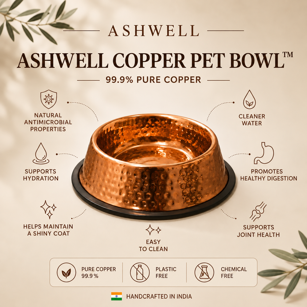 Pure copper pet bowl shown from a different angle, highlighting its smooth interior finish.