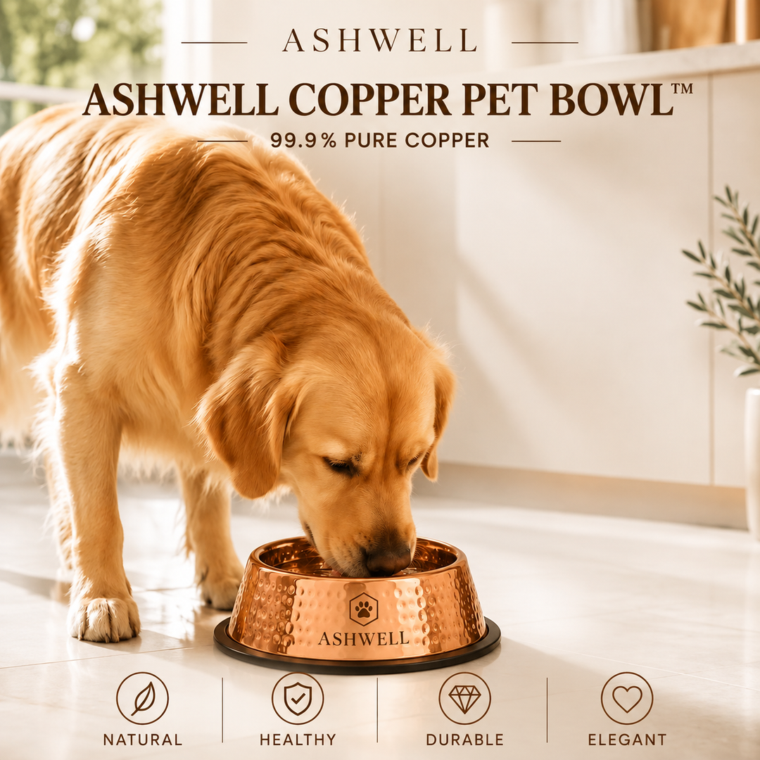 Pure copper pet bowl with food inside, lifestyle photo highlighting its use for daily feeding.