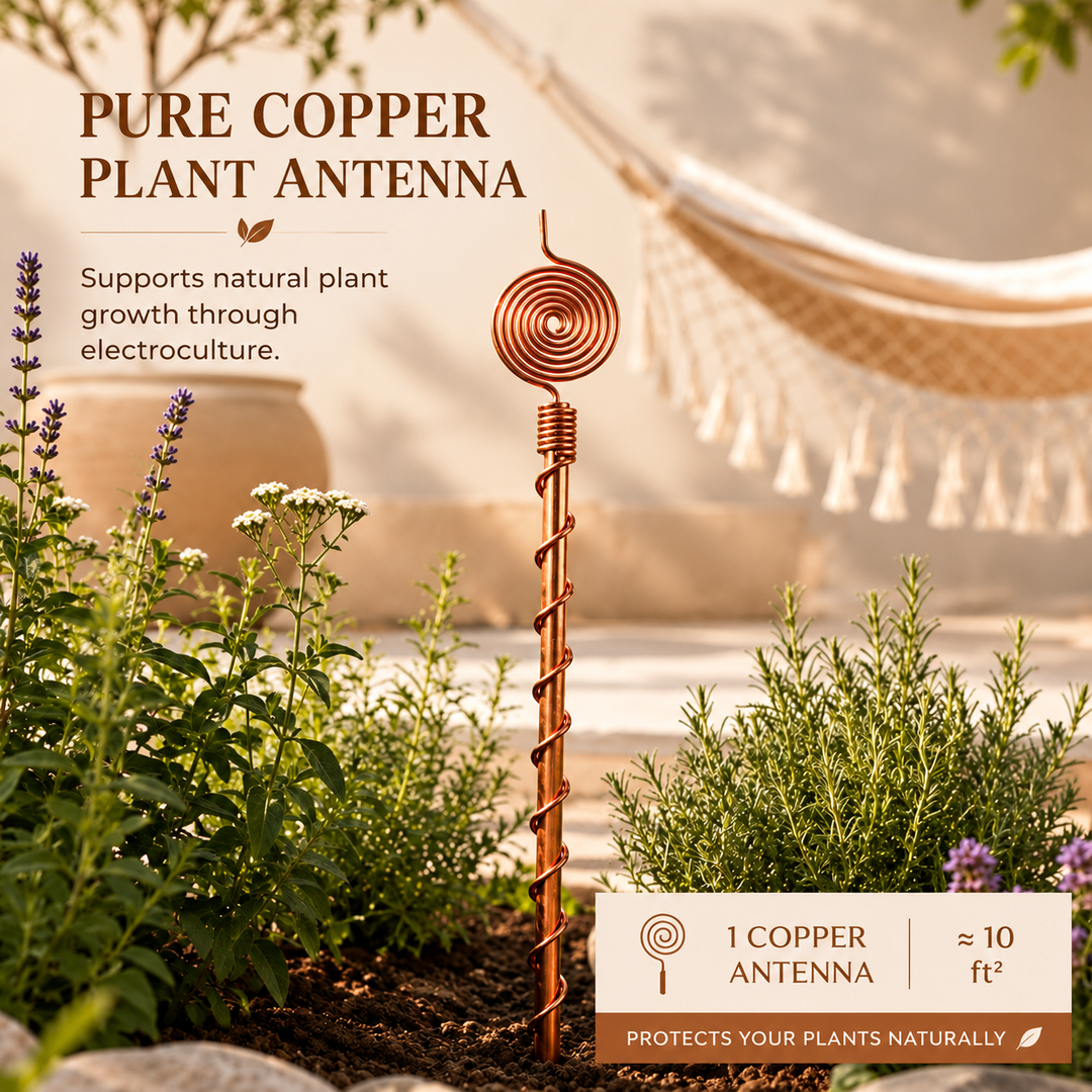 Copper electroculture antenna spiral stake planted among lavender and herbs in a garden bed
