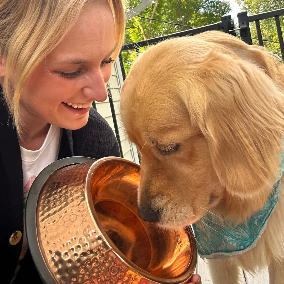 Handmade pure copper pet bowl for dogs and cats, studio photo