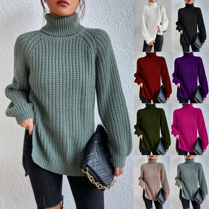 Mia Comfortable Turtleneck Long Sweater — product view