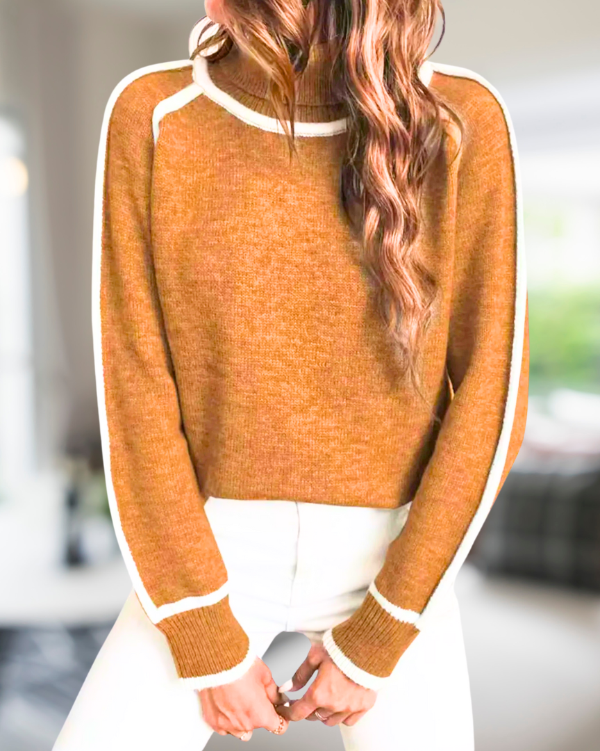 Lily Cozy Turtleneck Sweater — styled shot